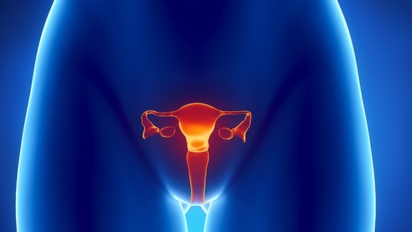 大连子宫肌瘤——美琳达解读子宫肌瘤是怎么引起的
